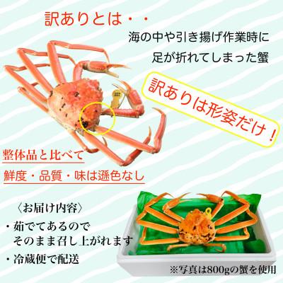 ふるさと納税 越前町 【2027年2月より順次発送】【訳あり】《浜茹で》越前がに　小サイズ×1杯 |  | 01