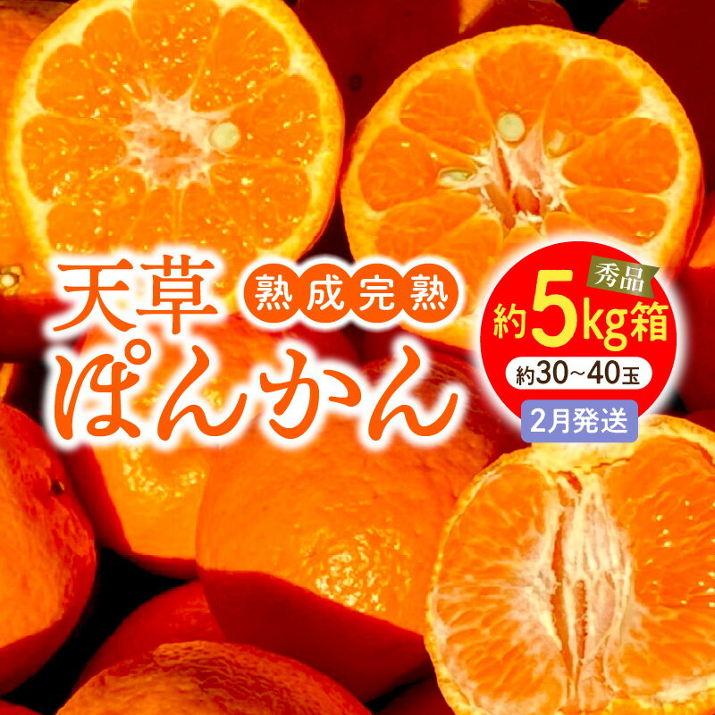 【ふるさと納税】熟成 完熟 天草 ぽんかん 2月発送 箱 込み 約 5kg サイズ混合 約 30玉 ～ 40玉 低しょう系ぽんかん 秀品 鮮度 濃厚 甘さたっぷり 柔らかい果肉 フルーツ おやつ 美味しい 後味が良い 予措 常温 上果園 熊本県 天草市 下浦町 送料無料〈先行受付〉