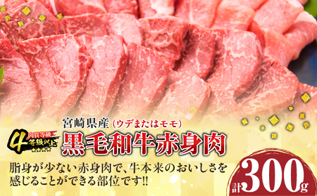 【お中元・夏の贈り物】数量限定 黒毛和牛 赤身肉 豚焼肉 食べ比べ セット 合計800g 牛肉 豚肉 バーベキュー 御中元_C138-252