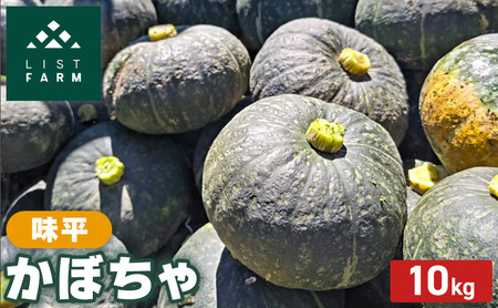 かぼちゃ 味平 リストファーム 北海道産 かぼちゃ【10kg サイズ混合】