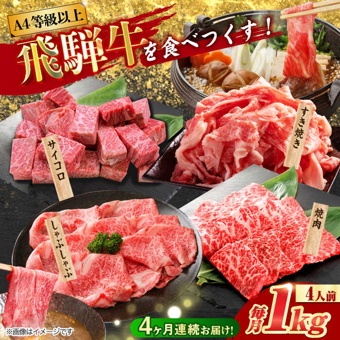 【ふるさと納税】【4回定期便】 飛騨牛を食べつくす！ 飛騨牛 プレミアム 定期便 4人前 ( しゃぶしゃぶ × すき焼き × サイコロステーキ × 焼肉 ) 各1kg A4等級以上 多治見市 / 渡辺精肉店 和牛 ブランド牛 牛肉[TAZ048]