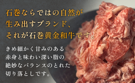 牛肉 石巻 黄金 和牛 切り落とし 300g×1P 赤身 国産 美味しい 使いやすい 小分け 肉　 お肉 細切れ おかず すき焼き 焼肉 冷凍