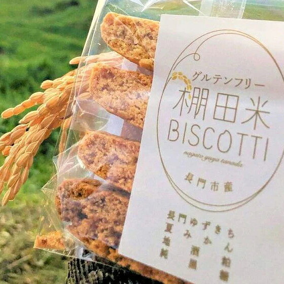 【ふるさと納税】菓子 米粉 ビスコッティ 棚田米 BISCOTTI 長門市 (1199)
