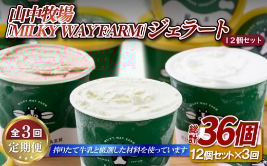 F190 《定期便》山中牧場「MILKY WAY FARM」ジェラート(１２個)【３回お届け】