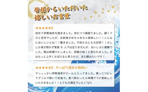 HRISI-45 【先行予約】 ＜数量限定＞宮崎県串間産伊勢エビ（約450g）【豊漁丸】