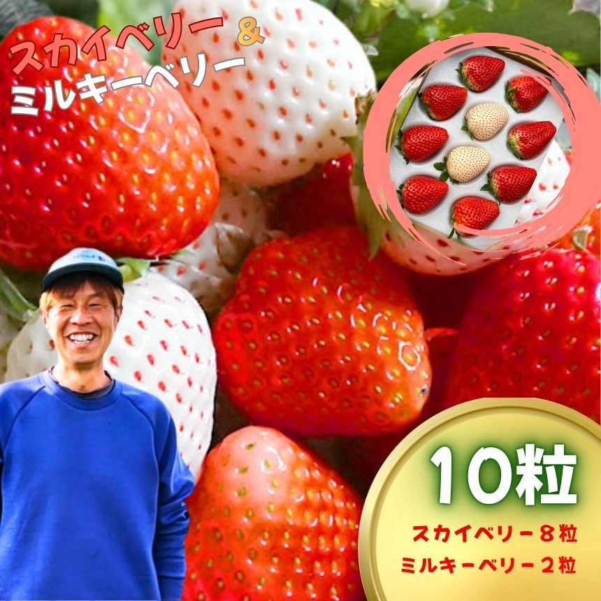 【ふるさと納税】いちご 食べ比べ 白いちご 紅白 セット 10粒【2027年 先行予約】スカイベリー 8粒 ミルキーベリー 2粒 | 栃木県 真岡市 苺 イチゴ 希少種 完熟 大粒 贈答 ギフト 縁起物 スイーツ フルーツ 果物 ストロベリー プレゼント ご褒美 人気 日本一 送料無料