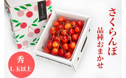 08-06-045　天童のおすすめさくらんぼ500g