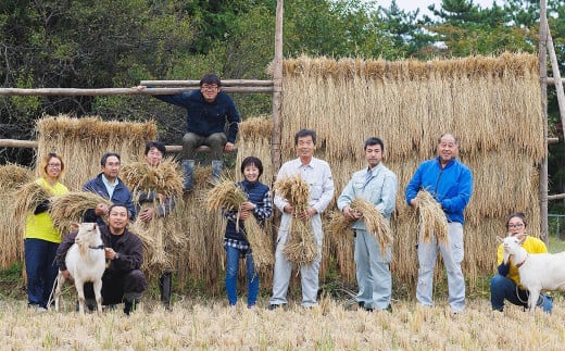 特別栽培みずほ米 ひとめぼれ 白米 20kg（10kg×2袋） 【1752】