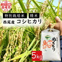 【ふるさと納税】令和6年産 特別栽培米西尾産コシヒカリぬくもり 5kg×1袋 D024-14 / 特別栽培米 節減対象農薬5割減 化学肥料不使用 精米 5キロ 国産米 国内産 日本産 愛知県産 MB