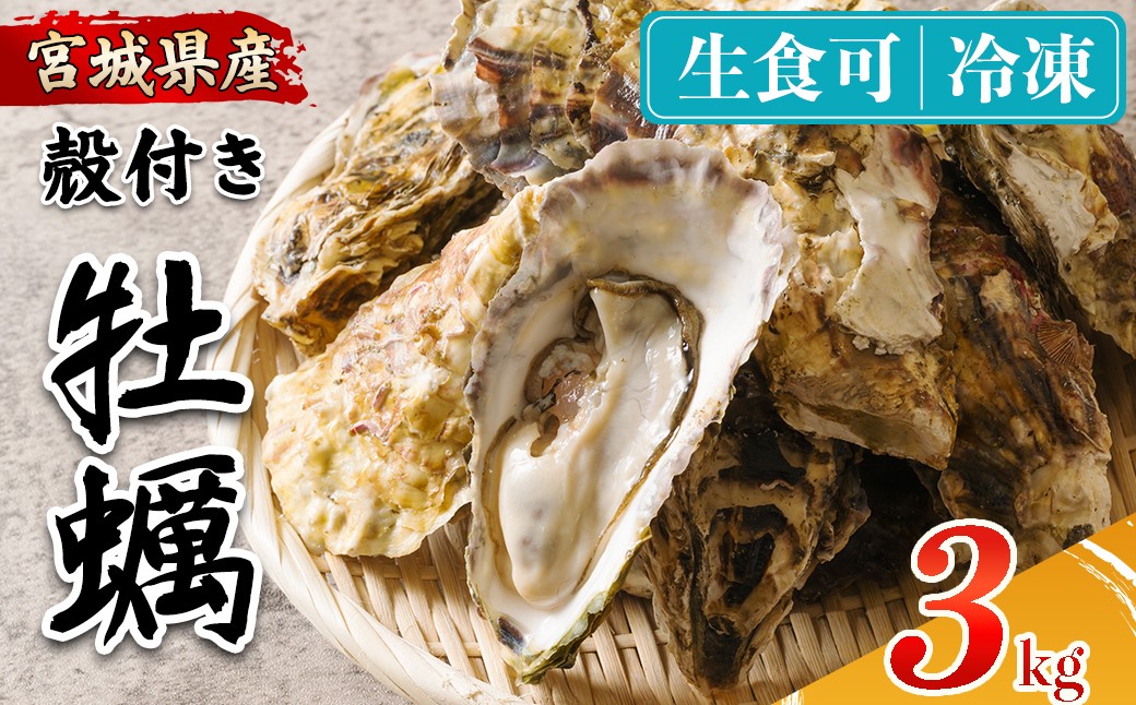 
                  殻付き牡蠣（生食用）冷凍 3kg 生牡蠣 宮城県産 牡蛎 牡蠣 カキ かき 生食 オイスター カキフライ 牡蠣鍋 海鮮 国産 魚貝類 バーベキュー BBQ 【カタクチ商店株式会社】ta735
                