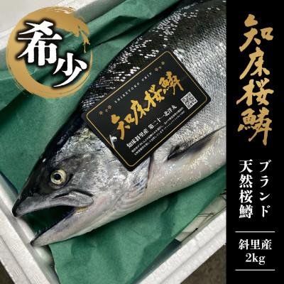 ふるさと納税 斜里町 ＜希少!数量限定＞知床斜里産 天然ブランドサクラマス「知床桜鱗」2kg(真空冷凍)