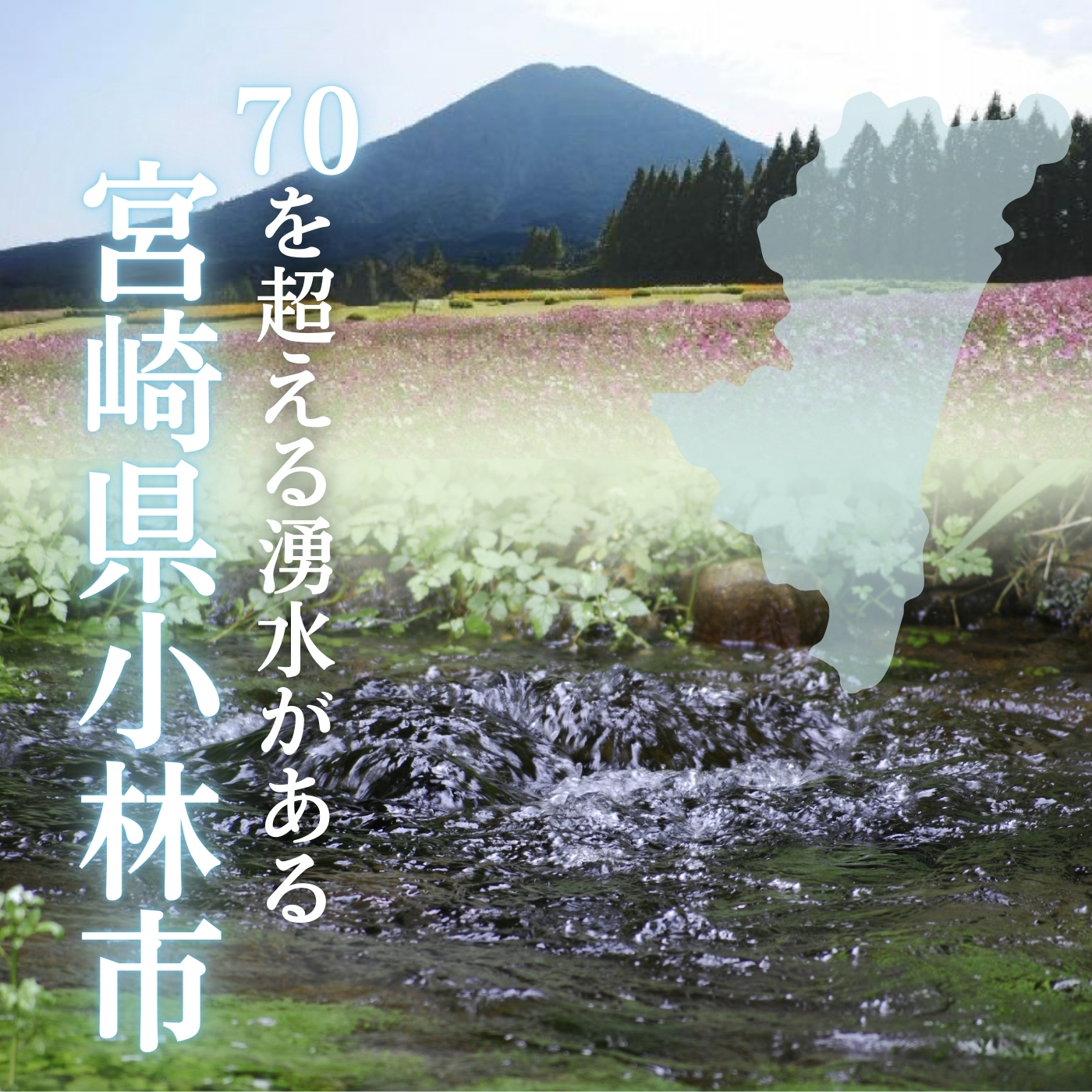 【定期便・霧島連山天然水12か月コース】シリカたっぷり霧島のおいしい水2L×6本×12か月_イメージ3