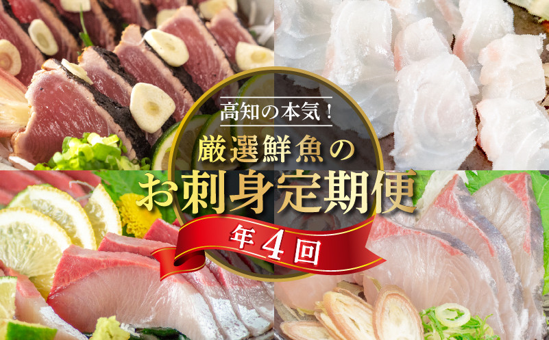 
            定期便 4回 小島水産 がお届けする！ 美味しい お刺身 コース（鮮魚下処理済） （ カンパチ カツオ 鯛 ブリ ） 海鮮 魚 鮮魚 新鮮 1年 定期 刺し身 魚介 かんぱち 勘八 鰹 かつお カツオのタタキ 鰹のたたき マダイ 真鯛 タイ 鰤 高知県 須崎市 頒布会 KS7000-2x
          