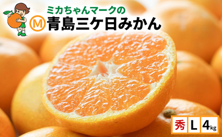 ミカちゃんマークの「マルエム青島三ケ日みかん」秀L4kg(約29個～32個) みかん ミカン フルーツ 果物 浜松市 静岡