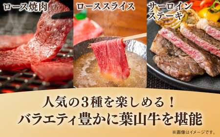 【全6回定期便】葉山牛 少量3種食べ比べセット 牛肉(ロース・ローススライス・サーロインステーキ)[ASBD025]