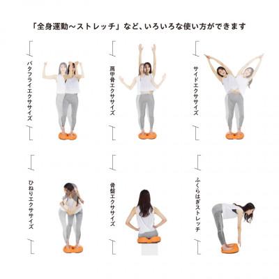 ふるさと納税 高槻市 クッションステッパー グリーン/EX401G |  | 02