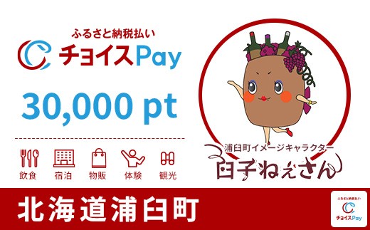 
                  浦臼町チョイスPay 30,000pt【会員限定のお礼の品】
                