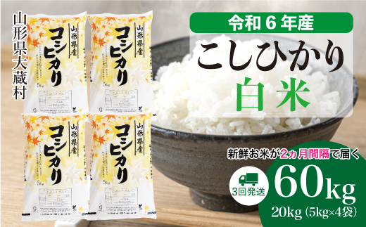 ＜令和6年産米＞ 令和7年5月中旬より配送開始 コシヒカリ【白米】60kg定期便(20kg×3回)　大蔵村