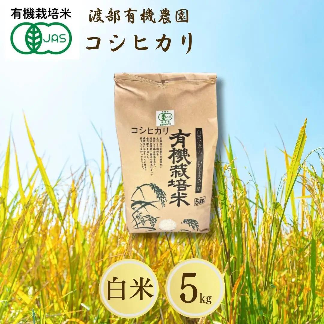 JAS有機米 コシヒカリ 白米 5kg | 令和7年産 渡部有機農園