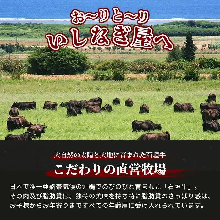 【訳あり】 石垣牛 焼肉用　(不揃い)　500g 　AB-26