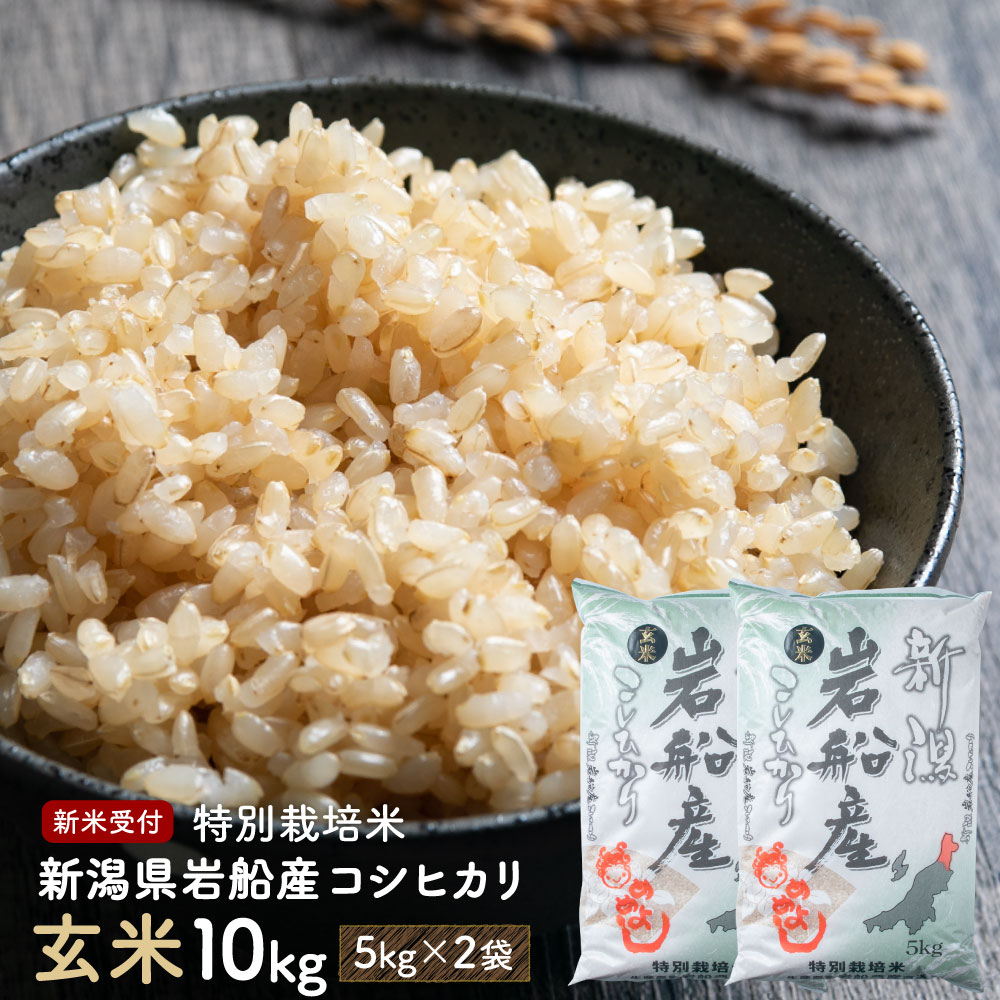 【ふるさと納税】【新米受付・令和7年産米】 特別栽培米 新潟県 岩船産 コシヒカリ 玄米 合計 10kg 5kg×2袋 お米 ご飯 ごはん 村上市 NAB4019