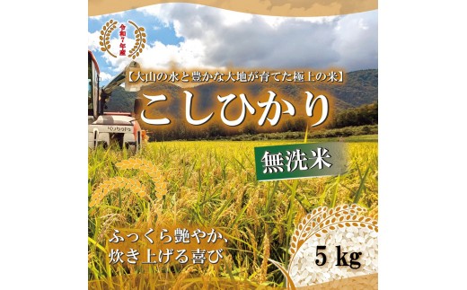 ＜令和7年産＞山崎農園のこしひかり(無洗米・5kg) 【鳥取県 境港市】