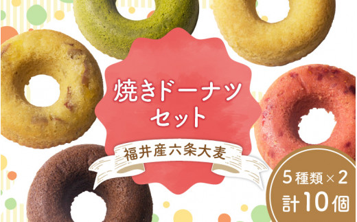福井産六条大麦焼きドーナツセット（5種類×2 計10個） [A-034001]