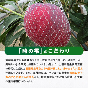 【令和8年発送】宮崎県産 完熟マンゴー「時の雫」 4L×1玉 フルーツ マンゴー