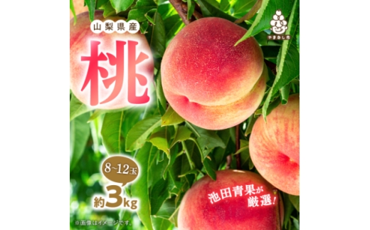 ＜2027年(来年)発送＞ 桃 約3kg (8玉～12玉) 厳選 ! 池田青果の もも【1280521】