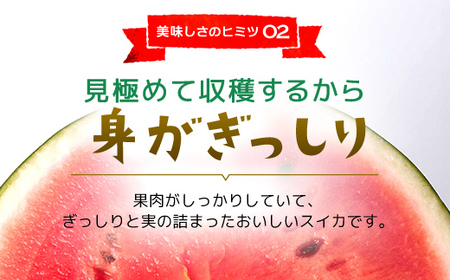【数量限定】富里スイカ(Lサイズ6～7kg)1玉  すいか スイカ 西瓜 千葉県 富里市 果物 フルーツ 採れたて とれたて 産地直送 農家直送 千葉県産 ちば 千葉すいか 千葉スイカ 富里 富里すい