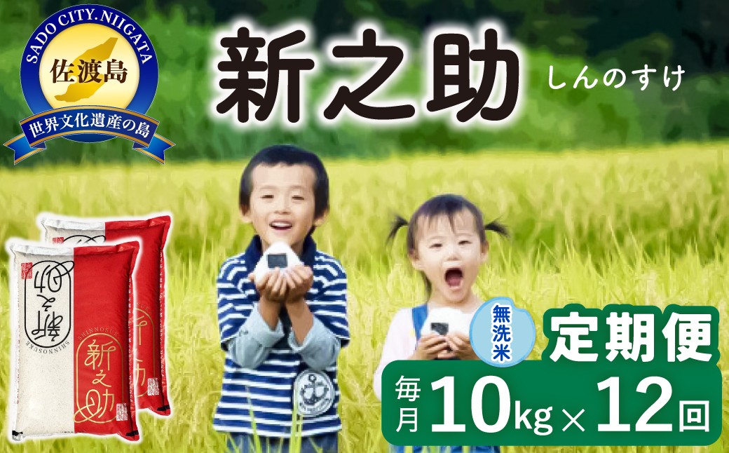 
                  【12か月定期便】佐渡島産 新之助 無洗米 合計120kg（10kg（5kg×2袋）×毎月全12回）令和8年産 新米 単一原料米 | 新潟県産新之助 新潟産新之助 佐渡産新之助 しんのすけ 新之助 お米 米 無洗米 むせんまい 精米 ブランド米 おこめ コメ 10キロ にいがた さど 新潟県 佐渡市
                