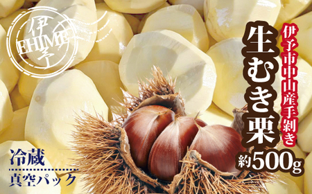 【2026年先行予約】栗 むき栗 約500g 【2026年9月下旬以降発送予定】 旧中山町産  数量限定 生栗 濃厚な甘み ホクホク 焼き栗 栗ごはん 伊予市 愛媛県｜B468