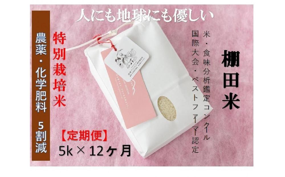 【令和8年産先行予約】【12ヶ月定期便】【農薬化学肥料5割減】魚沼コシヒカリ 苗場プリンセス 特別栽培米 精米 5kg （5kg×1袋） 計60kg127523-033