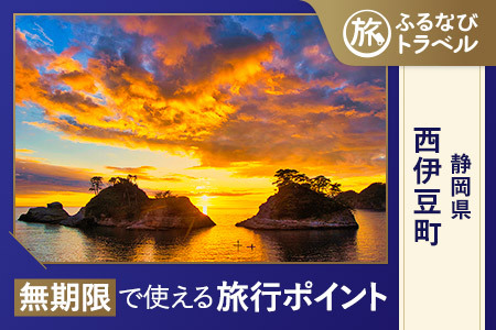 【旅行支援・宿泊無期限】旅行ポイント西伊豆町ふるなびトラベルポイント