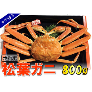 【1542】【魚倉】タグ付きボイル松葉ガニ(大800g)