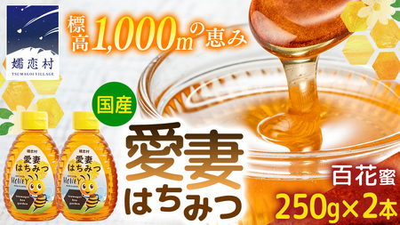 愛妻はちみつ ( 百花 ) 250g × 2個 セット つまごいビーガーデン [AC004tu]