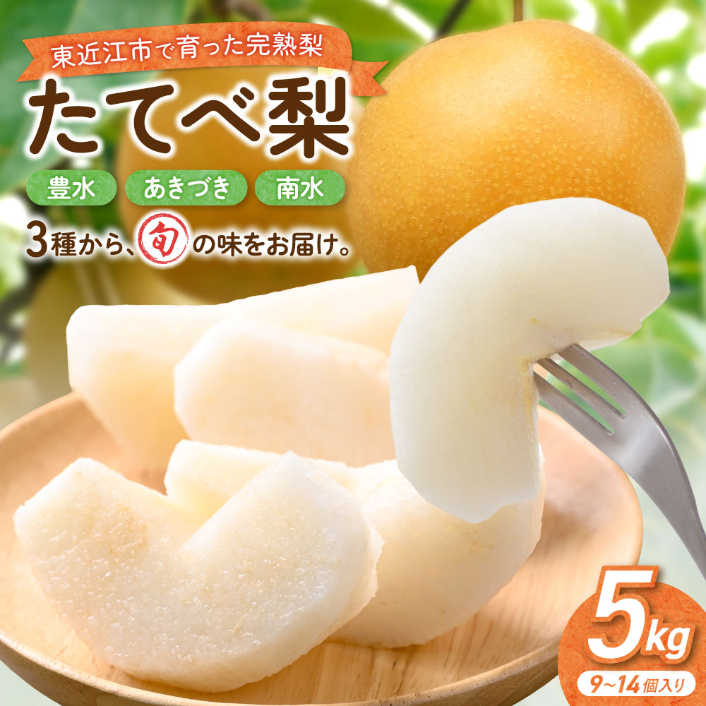 【ふるさと納税】【期間限定】《2026年8月31日まで》たてべ梨 たてべ大凧果樹生産組合 滋賀県 東近江市 A-D28 梨 フルーツ 果物 和梨 完熟 豊水 南水 あきづき 5kg 旬