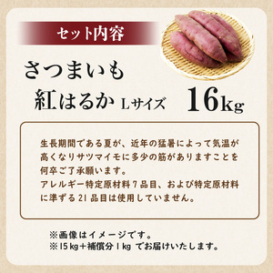 さつまいも　紅はるか　Lサイズ　16kg mi0084-0009-7
