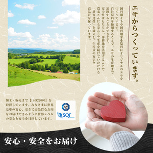 黒毛和牛 A5等級 鹿児島県産 黒毛和牛 サーロインステーキ スティック 250g IB112-012
