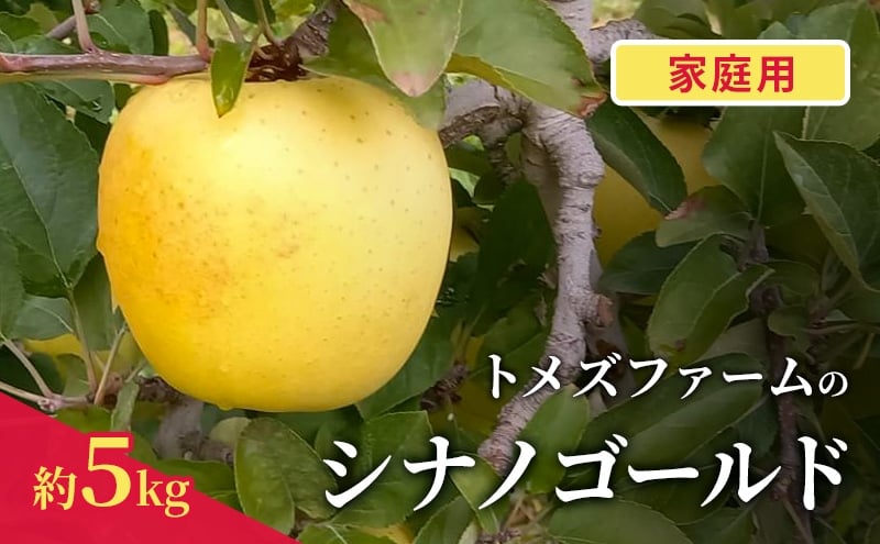 
            シナノゴールド（家庭用） 約5kg（15～20玉入り）トメズファーム　りんご　長野　信州　小諸　果物　フルーツ [№5915-1662]
          