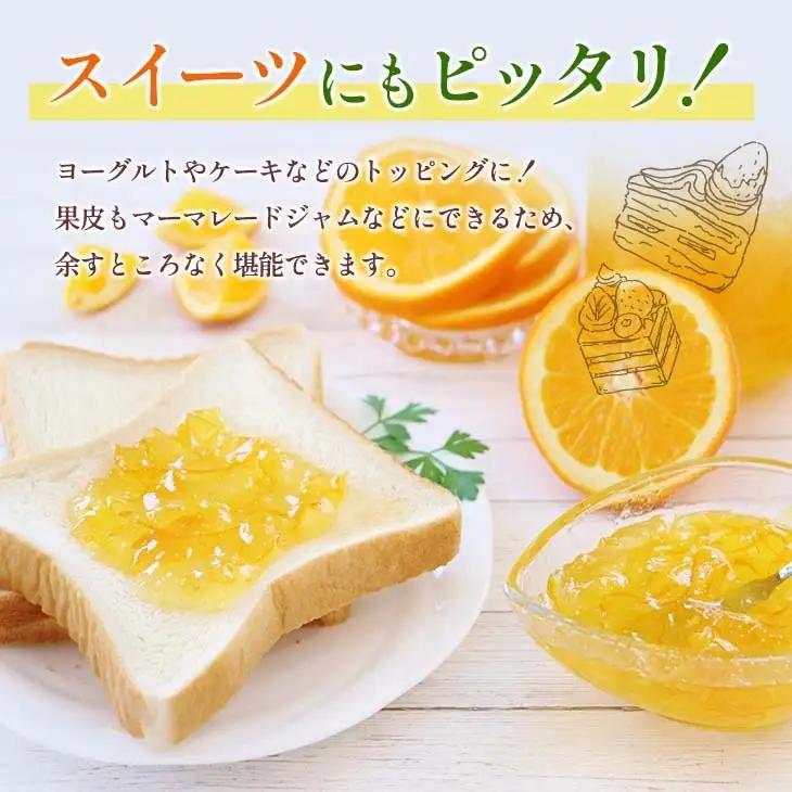 【ふるなび限定】★テレビで紹介された★ 先行予約 グレープフルーツ 月夜実 白 つくよみ 計4kg以上_BB122-23