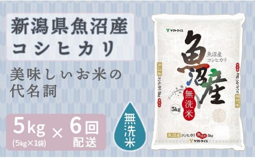 【定期便全6回】無洗米新潟県魚沼産コシヒカリ5kg（受注の翌月から毎月配送）｜新潟県　新潟　魚沼　無洗米　こしひかり　米　おこめ　お米