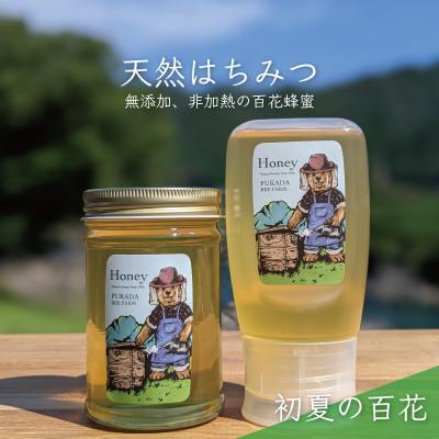 ふるさと納税 美濃市 合計530g 天然・国産蜂蜜 非加熱 生はちみつ 岐阜県美濃市産 初夏 B13