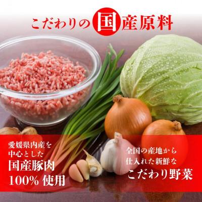 ふるさと納税 松山市 あさの生餃子 【25個入×5パック 計125個】 |  | 02