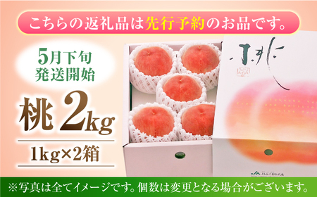 【先行予約　2025年5月下旬より発送】 桃 化粧箱入り 約2kg（約1kg×2箱）　広川町 / JAふくおか八女農産物直売所どろや[AFAB062]