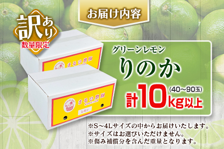 訳あり 数量限定 グリーンレモン りのか 計10kg以上 期間限定 フルーツ 果物 くだもの 柑橘 レモン 檸檬 レモンティ レモネード 国産 食品 デザート スイーツ 人気 おすすめ ご家庭用 訳ア