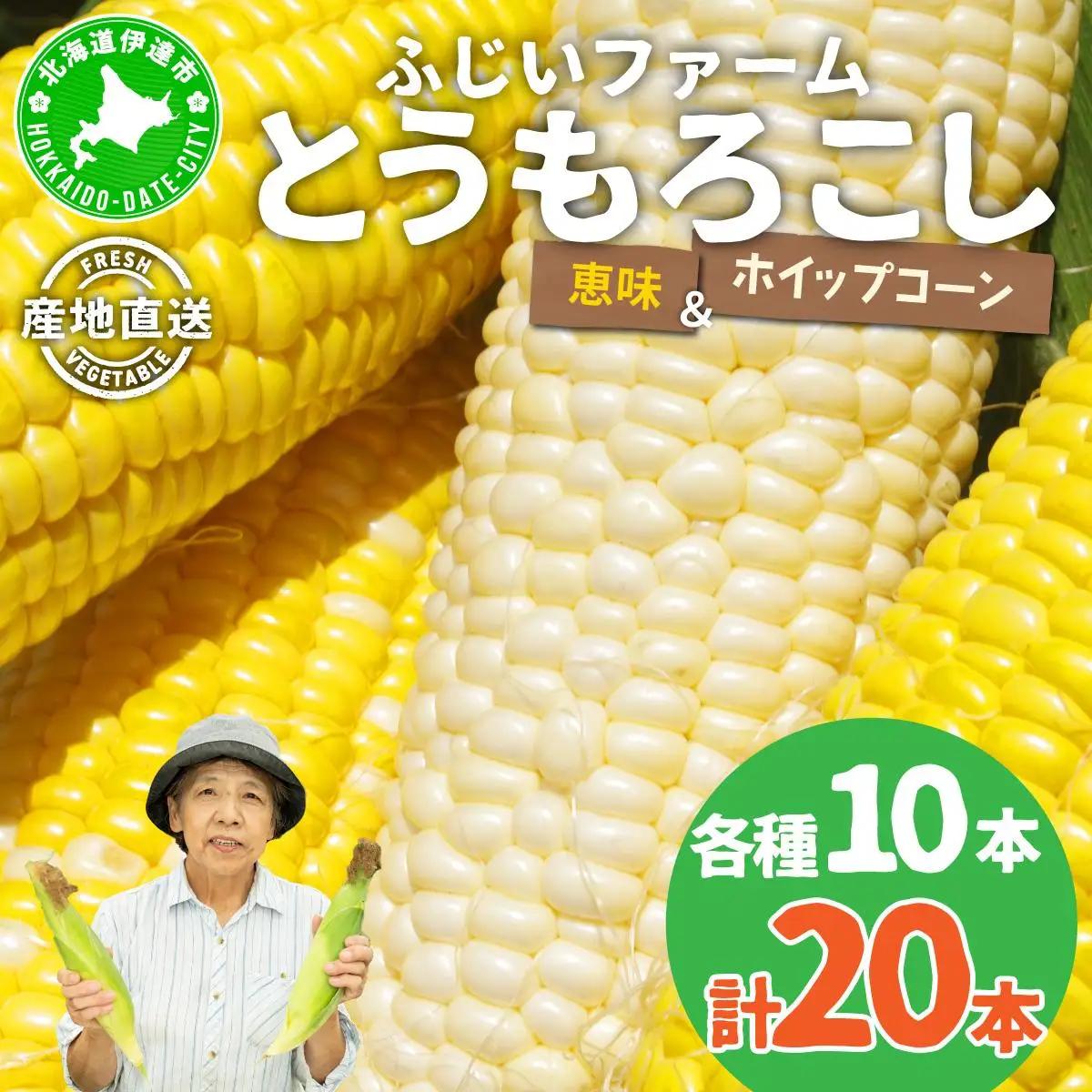 【ふるなびWEEK対象】＜先行予約＞北海道産 とうもろこし(恵味/ホイップコーン) 計20本【55250487_FU】