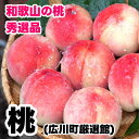 【ふるさと納税】 桃 和歌山産 秀品 【 産直 人気の特産品 】 ※6月下旬～8月上旬頃順次発送予定 ※北海道・沖縄・離島への配送不可 / もも 桃 白桃 くだもの 果物 果実 フルーツ お中元 お供え お盆 贈答 贈り物 //hokaf