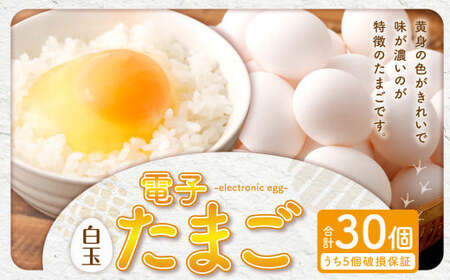 ZS-534 電子たまご（白玉） 30個 卵 たまご 白玉