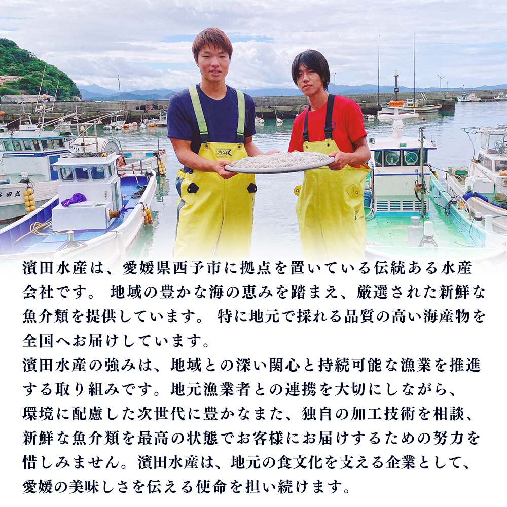 ＜【6回定期便】ちりめん＆しらす干し お試し食べ比べセット 合計410g（ちりめん70g×3袋 しらす干し100g×2袋 ）＞ 西予市産 ちりめんじゃこ ふりかけ 詰め合わせ 詰合せ チリメン シラス 家庭用 小分け 産地直送 濵田水産 愛媛県 西予市